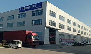 ��8ͷ�����(�й���½)-�ٷ���վ