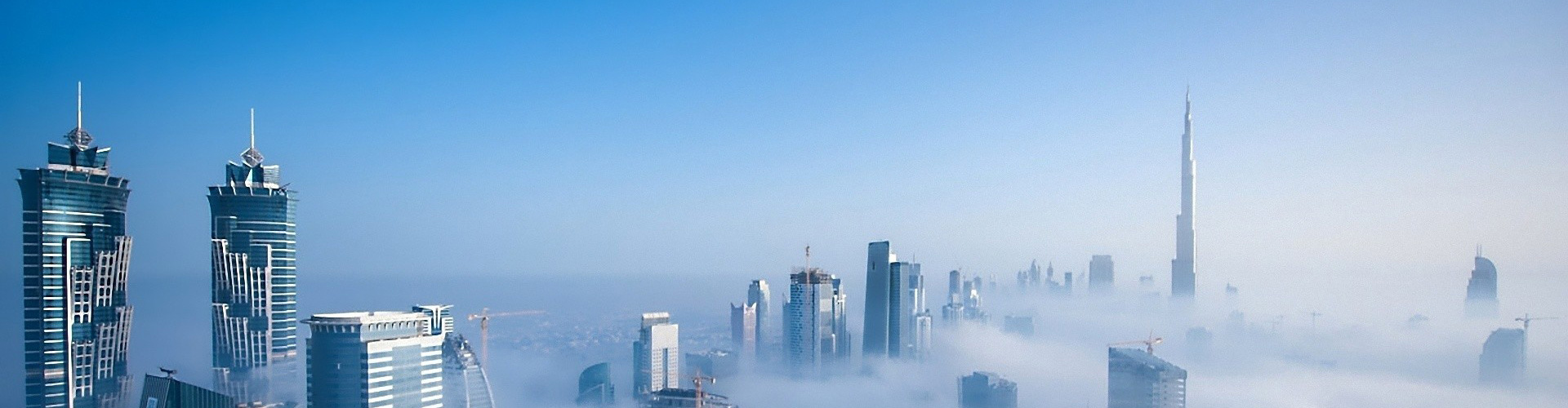 ��8ͷ�����(�й���½)-�ٷ���վ